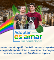 Prepárate para la Gran Jornada de Adopción: Familias LGBTI Interespecie en Theatrón